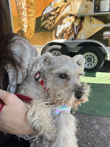 Photo of Western shawarma - 7822 N Davis Hwy, Pensacola, FL 32514