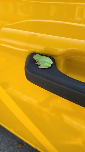 Photo of Surcheros - Douglas, GA - 500 N Peterson Ave N, Douglas, GA 31533