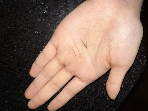 Photo of mezeh - 2770 Freedom Pkwy Dr, Fayetteville, NC 28314