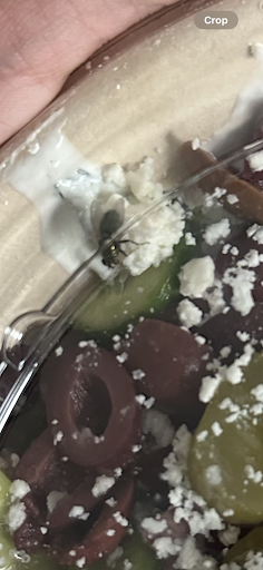 Photo of CAVA - 8128 Renaissance Pkwy #114, Durham, NC 27713