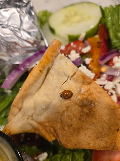 Photo of Taziki's Mediterranean Cafe - Holly Springs - 108 Grand Hill Pl, Holly Springs, NC 27540