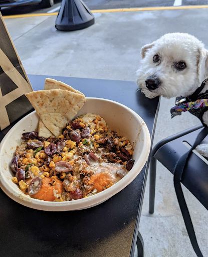 Photo of CAVA - 79 S Elliott Rd, Chapel Hill, NC 27514