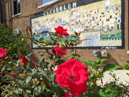 Photo of Jerusalem Pita and More - 1456 E Michigan Ave, Lansing, MI 48912