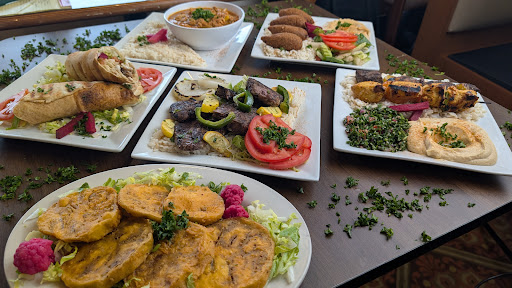 Photo of Ozzys Kabob - 3536 Meridian Crossing Dr, Okemos, MI 48864