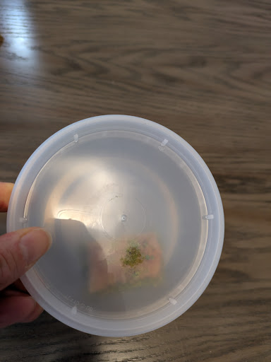 Photo of Sunay's Turkish Cafe - 5416 Mayfield Rd, Lyndhurst, OH 44124