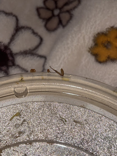 Photo of CAVA - 3352 W Friendly Ave Ste 115, Greensboro, NC 27410