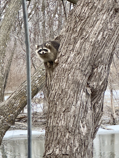 Photo of Dangerfield's - 1583 1st Ave E, Shakopee, MN 55379
