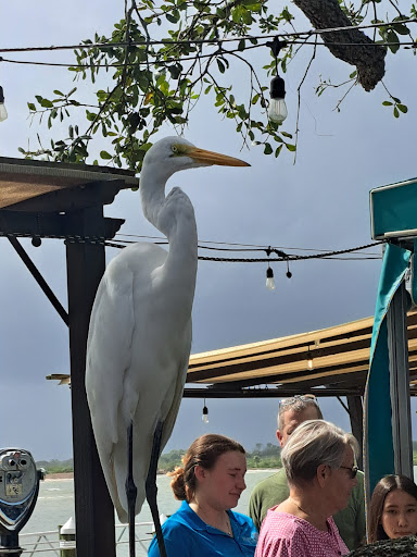 Photo of Hidden Treasure Rum Bar & Grill - 4940 S Peninsula Dr, Ponce Inlet, FL 32127