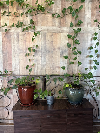 Photo of Byblos Express Greek and Lebanese - 400 N Corona St, Denver, CO 80218