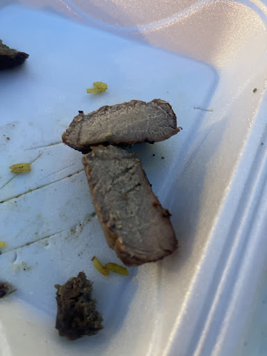 Photo of El Prince Mediterranean Cuisine - 5817 Goldview Pkwy SUITE 103, Wesley Chapel, FL 33544