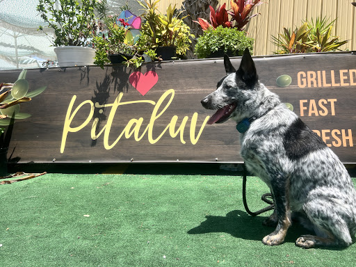 Photo of Pitaluv - 5447 Spring Hill Dr, Spring Hill, FL 34606