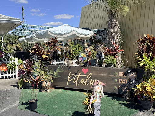 Photo of Pitaluv - 5447 Spring Hill Dr, Spring Hill, FL 34606