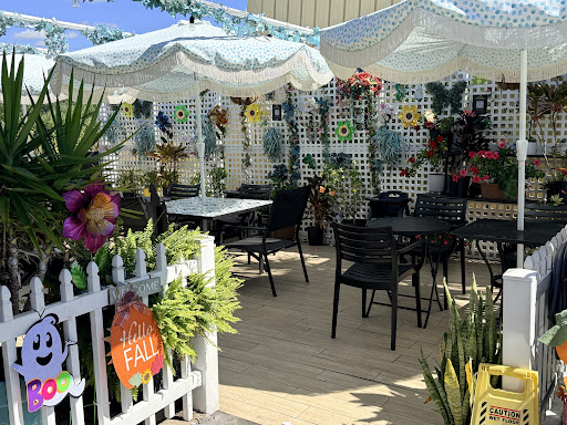 Photo of Pitaluv - 5447 Spring Hill Dr, Spring Hill, FL 34606