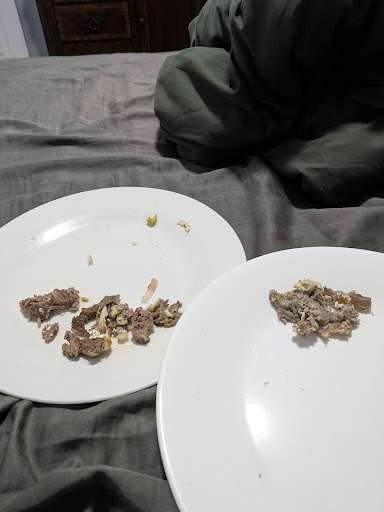 Photo of Taquería Gran Sabor Mexicano - 704 Jersey Ave, Elizabeth, NJ 07202