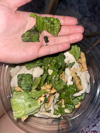 Photo of Panera Bread - 847 Boll Weevil Cir Suite 100, Enterprise, AL 36330