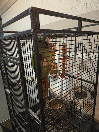 Photo of Zorba's Mediterranean Grille & Bar - 9106 Bonita Beach Rd SE, Bonita Springs, FL 34135