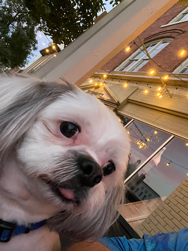 Photo of Cajun Corner on Broad - 209 E Broad St, Eufaula, AL 36027