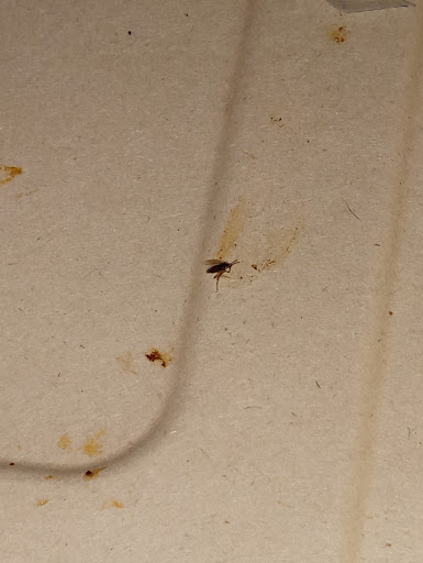 Photo of Kabob Station - 12041 N Pecos St, Denver, CO 80234