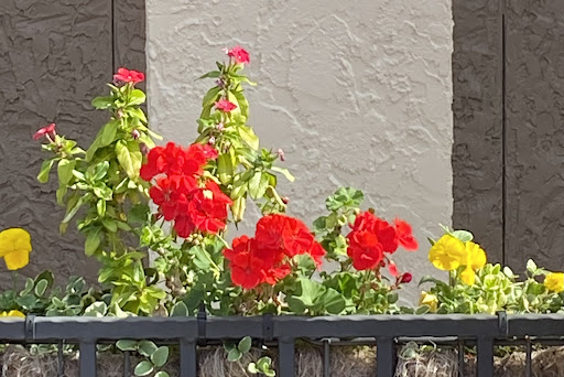 Photo of Taziki's Mediterranean Cafe - Vestavia Hills - 1425 Montgomery Hwy # 199, Vestavia Hills, AL 35216