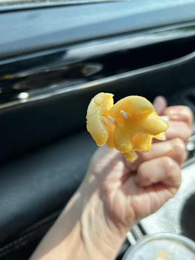 Photo of Nashville Hot Chicken & Gyro - 620 W Main St, Hendersonville, TN 37075