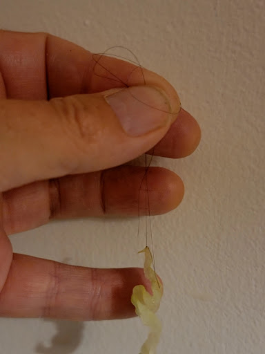 Photo of Nashville Hot Chicken & Gyro - 620 W Main St, Hendersonville, TN 37075