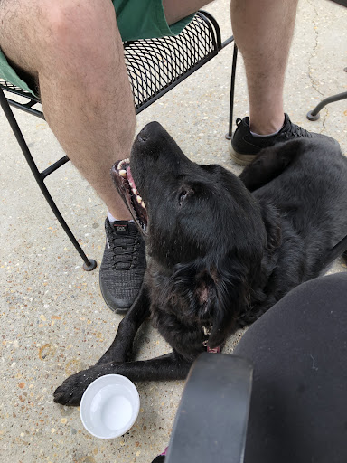 Photo of Ollies - 1248 Hillcrest Rd, Mobile, AL 36695