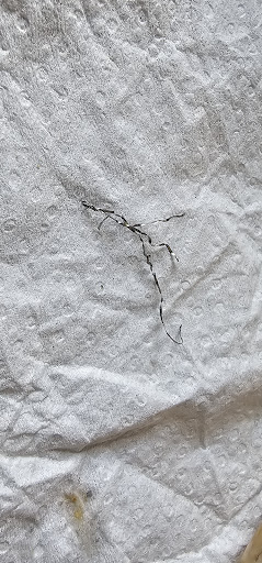 Photo of Falafel Inc - 500 23rd St S, Arlington, VA 22202