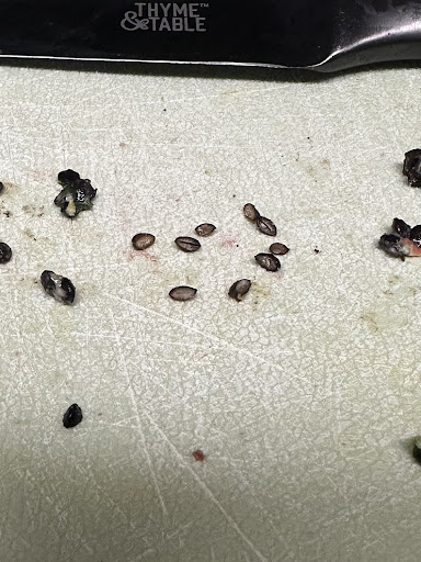 Photo of CAVA - 6025 TN-100, Nashville, TN 37205