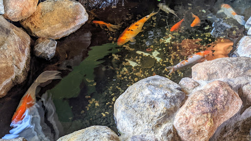 Photo of Greek Style Chicken - 904 S Main Ave, Fallbrook, CA 92028