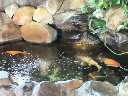 Photo of Greek Style Chicken - 904 S Main Ave, Fallbrook, CA 92028