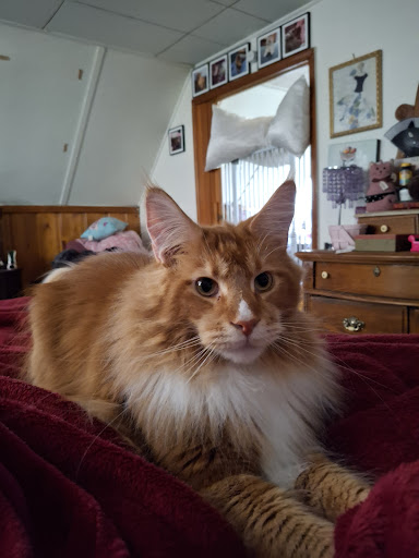 Photo of Friendly's - 9551 Belair Rd, Nottingham, MD 21236