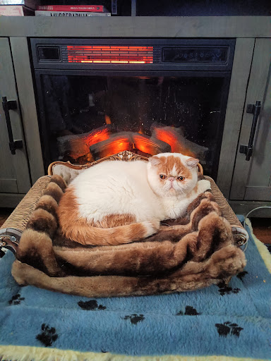 Photo of Friendly's - 9551 Belair Rd, Nottingham, MD 21236