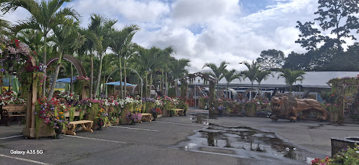 Photo of Bello Poultry Market - 411 Union Ave, Holbrook, NY 11741