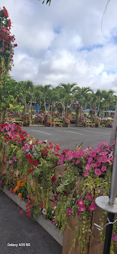 Photo of Bello Poultry Market - 411 Union Ave, Holbrook, NY 11741