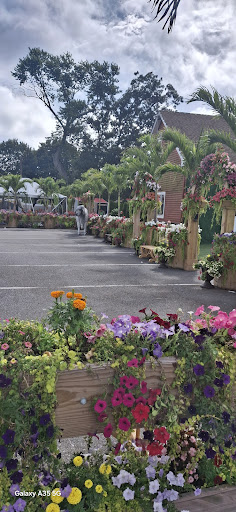 Photo of Bello Poultry Market - 411 Union Ave, Holbrook, NY 11741