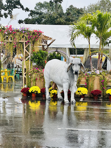 Photo of Bello Poultry Market - 411 Union Ave, Holbrook, NY 11741