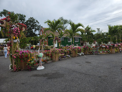 Photo of Bello Poultry Market - 411 Union Ave, Holbrook, NY 11741