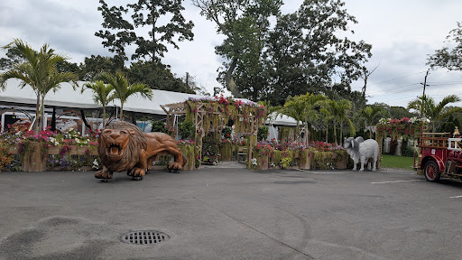 Photo of Bello Poultry Market - 411 Union Ave, Holbrook, NY 11741