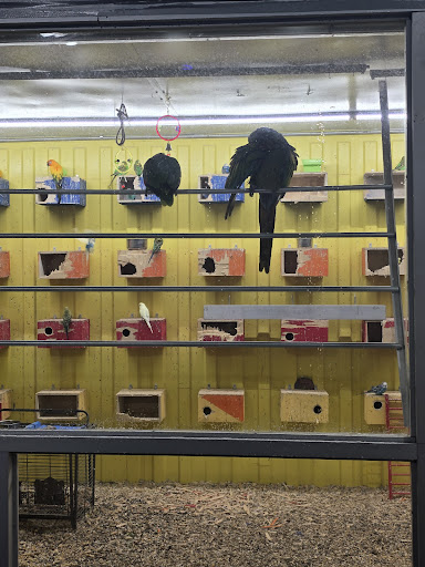 Photo of Bello Rotisserie and Grill kabab and steak - 411 Union Ave, Holbrook, NY 11741