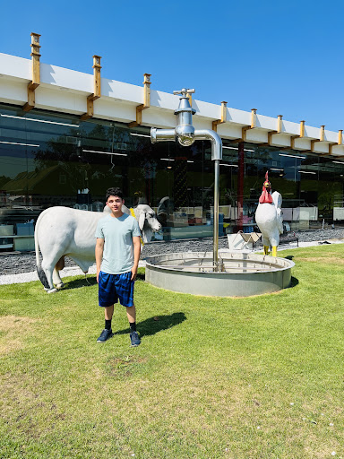 Photo of Bello Rotisserie and Grill kabab and steak - 411 Union Ave, Holbrook, NY 11741