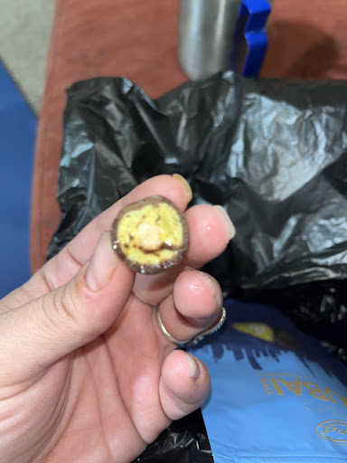 Photo of Mediterranean Mart and Indian Food - 5924 Cliffdale Rd Suite 100, Fayetteville, NC 28314