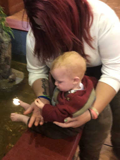 Photo of Hunan Spring Buffet - 2115 W Lincoln Ave, Fergus Falls, MN 56537