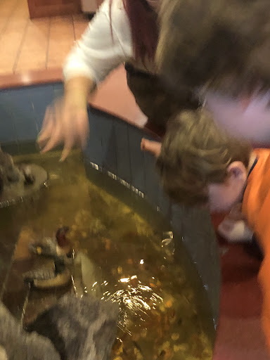 Photo of Hunan Spring Buffet - 2115 W Lincoln Ave, Fergus Falls, MN 56537