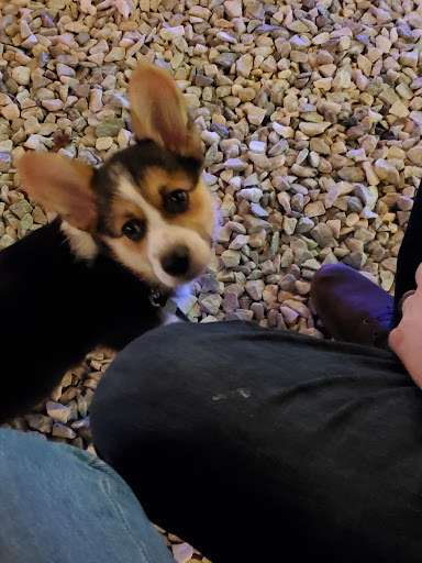 Photo of The BackYard Forest VA - 15173 Forest Rd, Forest, VA 24551