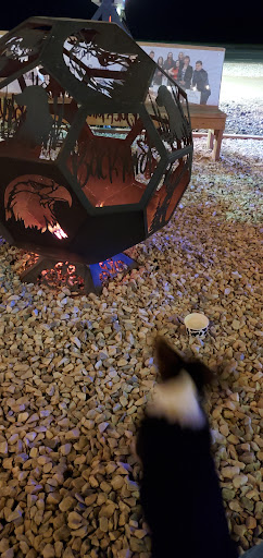 Photo of The BackYard Forest VA - 15173 Forest Rd, Forest, VA 24551