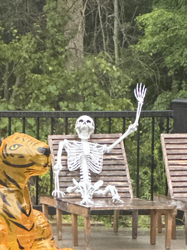 Photo of Archival Brewing - 6266 W River Dr NE, Belmont, MI 49306