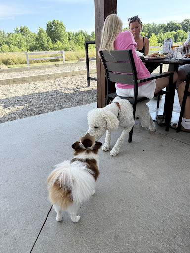 Photo of Archival Brewing - 6266 W River Dr NE, Belmont, MI 49306