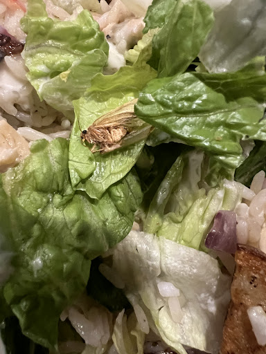 Photo of Grecian Gyro - 4542 Old Dixie Hwy #104, Forest Park, GA 30297