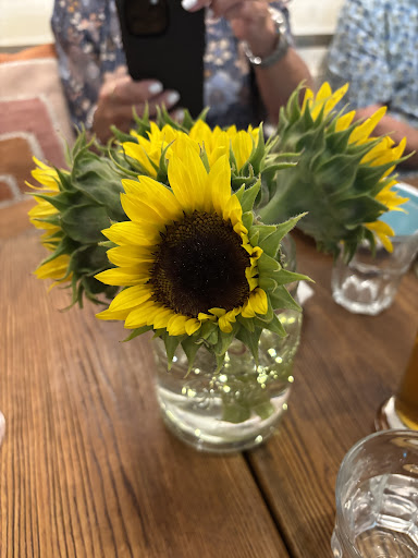 Photo of 7 Spices Mediterranean Restaurant & Cafe - 701 N Federal Hwy Ste 101-102, Hallandale Beach, FL 33009