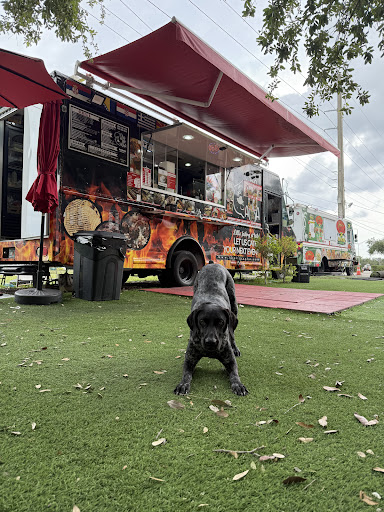 Photo of Sheker Agha - 1620 W State Rd 84, Fort Lauderdale, FL 33315